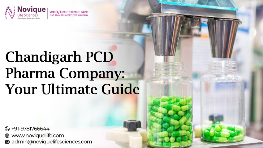 Chandigarh PCD Pharma Company